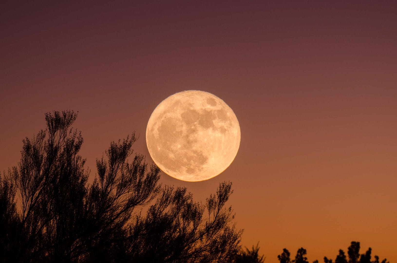 fullmoon fullmoon