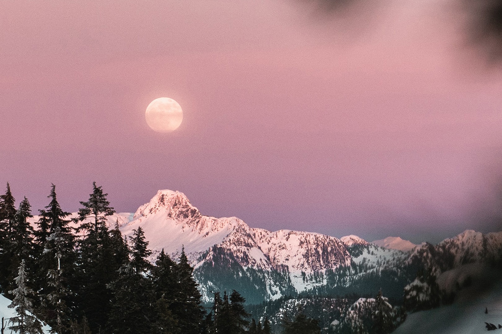 MOON-new-holiday-bg MOON-new-holiday-bg